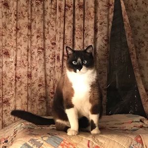 Meet your Posher, Dustin